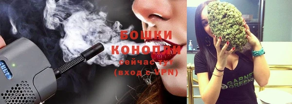соль ск Бронницы