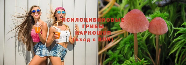 соль ск Бронницы