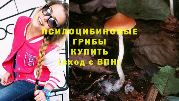 соль ск Бронницы