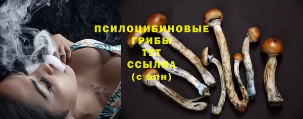 таблы Бородино