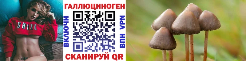 наркотики Людиново Галлюциногенные грибы Cubensis